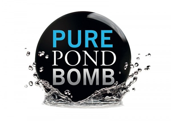 Pure Pond Bomb Ø ca. 6cm - bis 20000 Liter