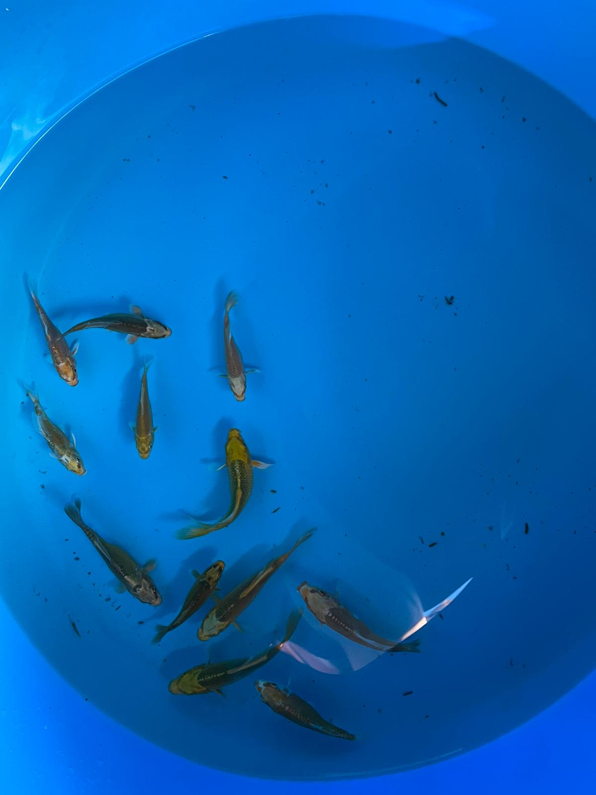 31601223-08bf-4b0d-9055-5fa84a1f86a5jx7x5bcXD6nht