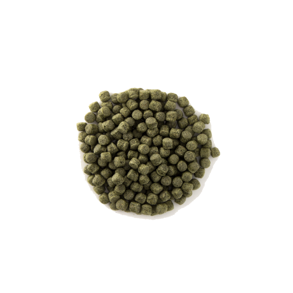 PremoFisch-Basic
