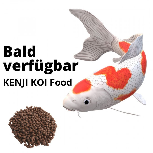KENJI KOI Daily Food - Für die ganze Saison