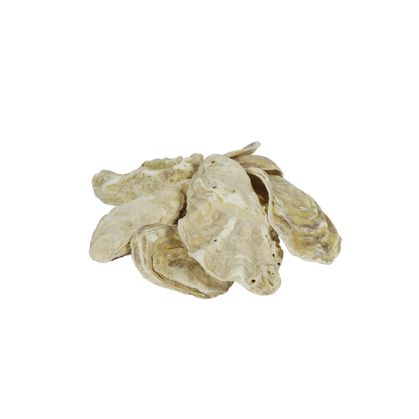 Austernschalen 5kg